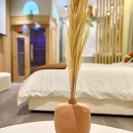 - Sauna Privatif Plein Centre * Troyes