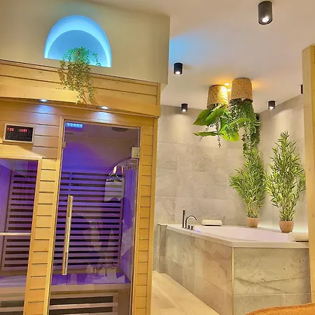 - Sauna Privatif Plein Centre Appartement
