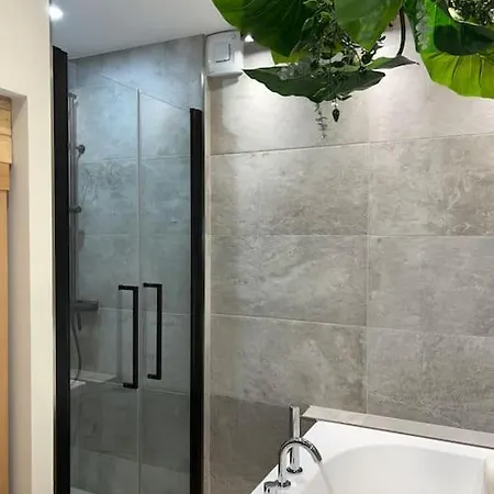 - Sauna Privatif Plein Centre Apartment Troyes