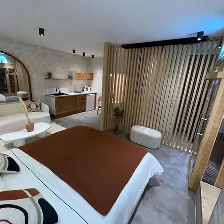 - Sauna Privatif Plein Centre Appartement