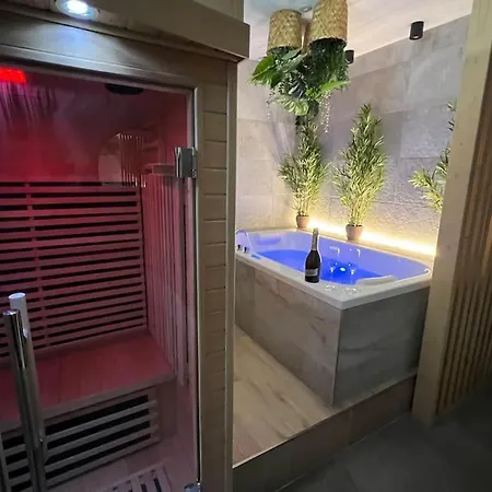 - Sauna Privatif Centre Parking Gratuit Appartement
