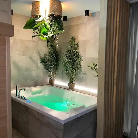 Appartement - Sauna Privatif Centre Parking Gratuit