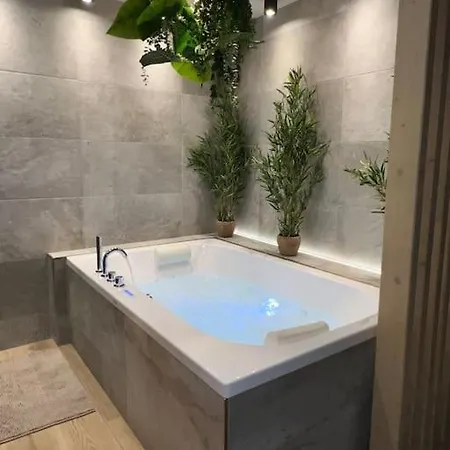 Apartment - Sauna Privatif Plein Centre Troyes