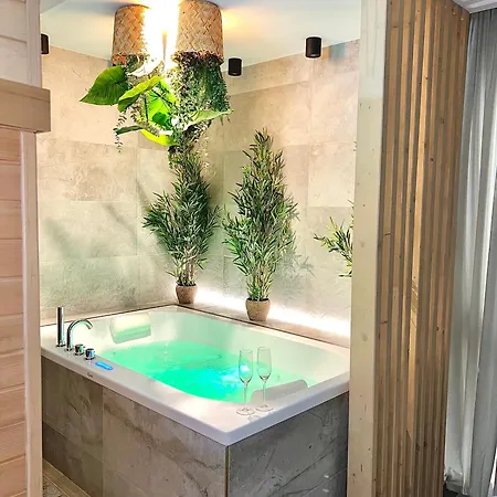 Appartement - Sauna Privatif Centre Parking Gratuit Troyes