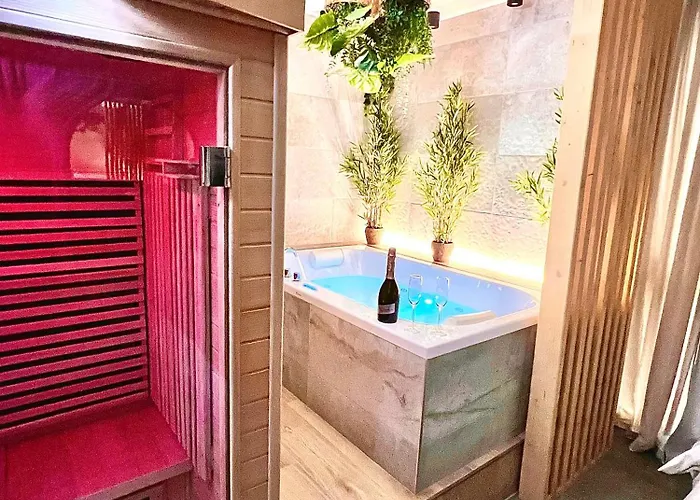 Lägenhet - Sauna Privatif Plein Centre Troyes