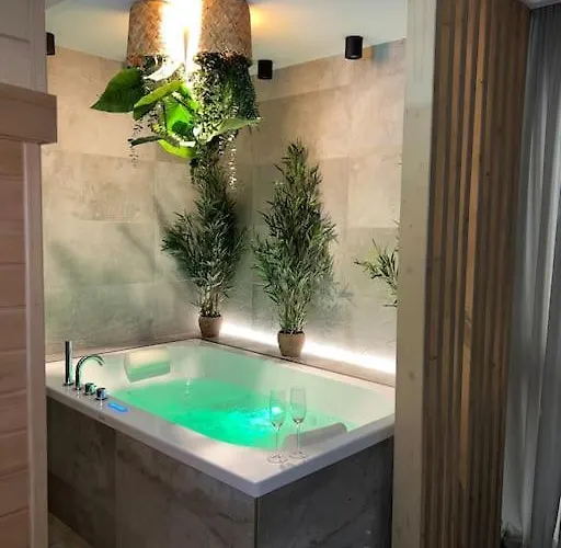 Lägenhet - Sauna Privatif Plein Centre