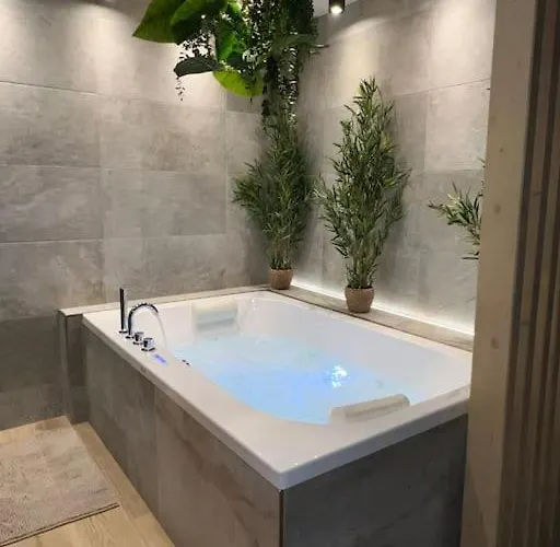 Lägenhet - Sauna Privatif Plein Centre Troyes