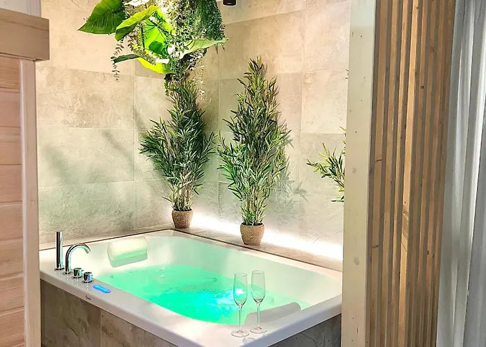 Lägenhet - Sauna Privatif Plein Centre Troyes