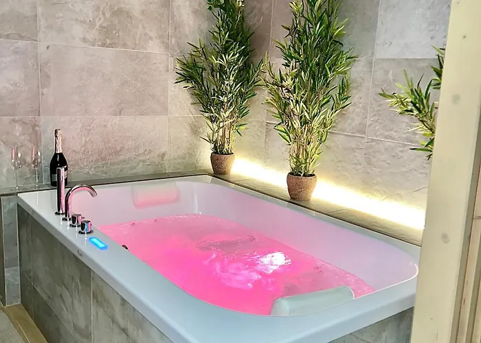 Lägenhet - Sauna Privatif Plein Centre Troyes