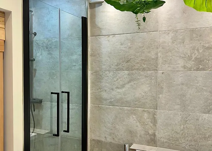 Lägenhet - Sauna Privatif Plein Centre *